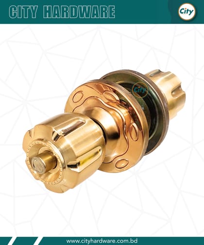 প্রিমিয়াম মানের রাউন্ড লক গোল্ডেন রঙের ডোর লক 5890GB