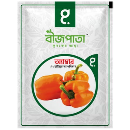 অ্যাম্বার এফ১ হাইব্রিড ক্যাপসিকাম বীজ।  Amber F1 Hybrid Capsicum Seeds