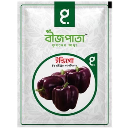 ইন্ডিগো এফ১ হাইব্রিড ক্যাপসিকাম বীজ। Indigo F1 Hybrid Capsicum Seeds
