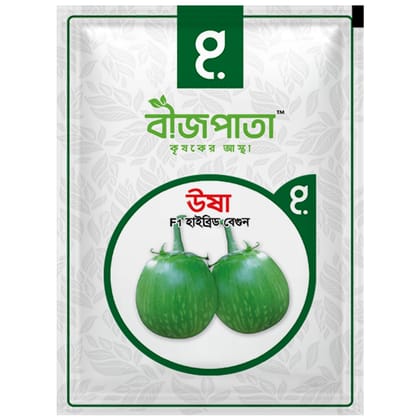 ঊষা এফ১ হাইব্রিড বেগুন বীজ। Usha F1 Hybrid Brinjal Seeds