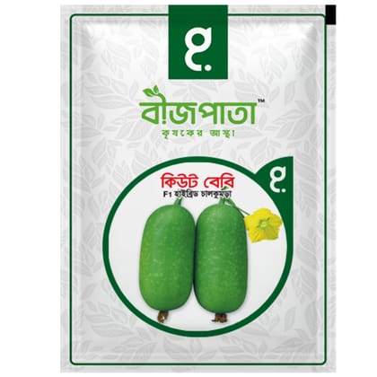 কিউট বেবি এফ১ হাইব্রিড চালকুমড়া বীজ। Cute Baby F1 Hybrid Rice Pumpkin Seeds