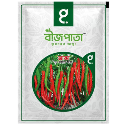জাভা এফ১ হাইব্রিড মরিচ বীজ। Java F1 Hybrid Chilli Seeds