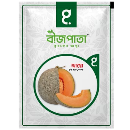 জাম্বো এফ১ হাইব্রিড রকমেলন বীজ। Jumbo F1 Hybrid Rockmelon Seeds