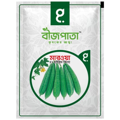 মারওয়া ঝিঙা বীজ Marwa Luffa Seed