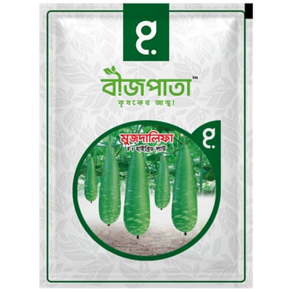 মুজদালিফা লাউ বীজ Muzdalifah Bottle Gourd Seed