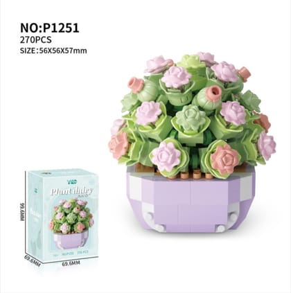 Succulent-Full House