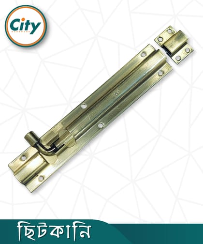 ৮ ইঞ্চি টাওয়ার বোল্ট স্টেইনলেস স্টিল টাওয়ার বোল্ট ডাবল প্লেট প্লেইন স্কোয়ার শেপ এবি পলিশ করা ছিটকানি