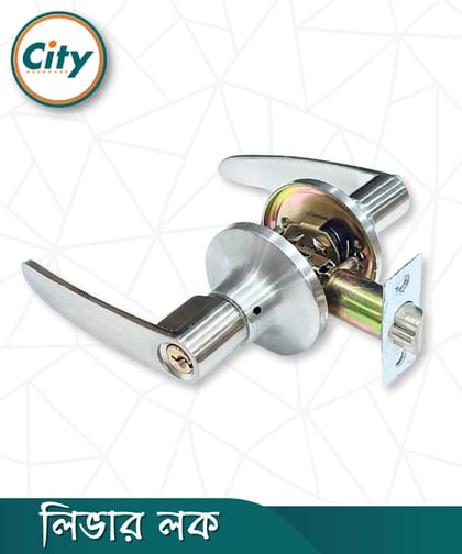 আধুনিক দরজার হ্যান্ডেল লক ওয়ান সাইড চাবি এক পাশে নব ডোর লক লিভার লক সেট সিলভার রঙের দরজার লক Door Lock