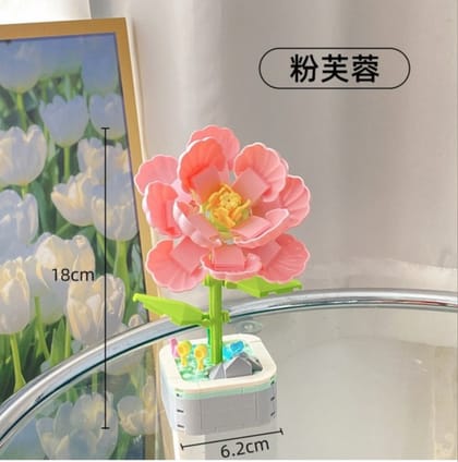 Pink Hibiscus potted plant