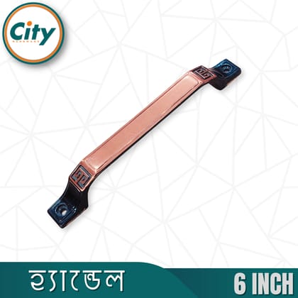 ৬ ইঞ্চি কালারিং দরজা হ্যান্ডেল আসবাবপত্র হ্যান্ডেল স্টাইলিশ পুল হ্যান্ডেল অনেক ডিজাইন উপলব্ধ