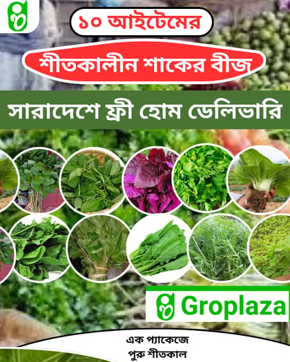 শীতকালীন ১০ আইটেমের শাকের  বীজের কম্বো প্যাকেজ