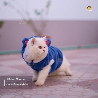 cat panda hoodie custome