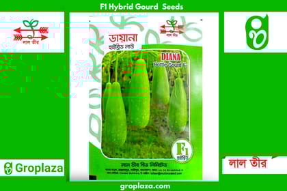 হাইব্রিড লাউ বীজ ডায়না । F1 Hybrid Gourd Seed Diana