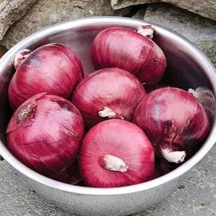 তাহেরপুরি পেঁয়াজ বীজ । onion seeds