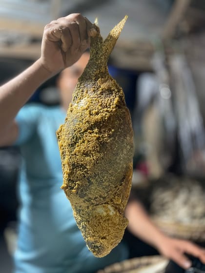 লোনা ইলিশ শুঁটকি (Hilsha)