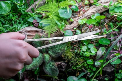 Aquatic Plant Trimming Tool Scissors.✂️