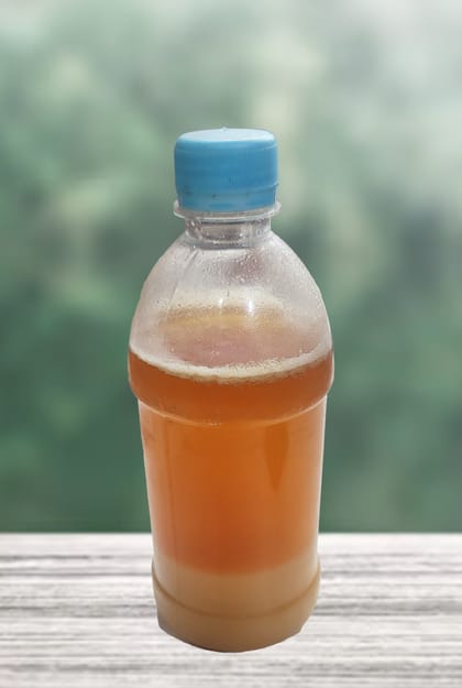 সরিষা মধু (৫০০গ্রাম) - Mustard honey (500 grams)