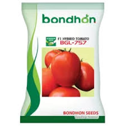 হাইব্রিড জাতের টমেটো বীজ বিজিএল - ৭৫৭ । Hybrid tomato seeds BGL - 757