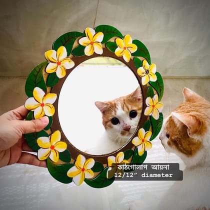 কাঠগোলাপ মিরর