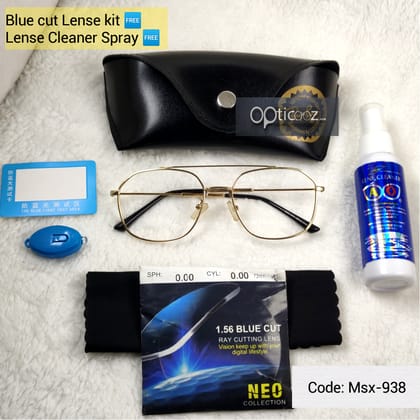 Stylish Metal BlueCut Eyewear