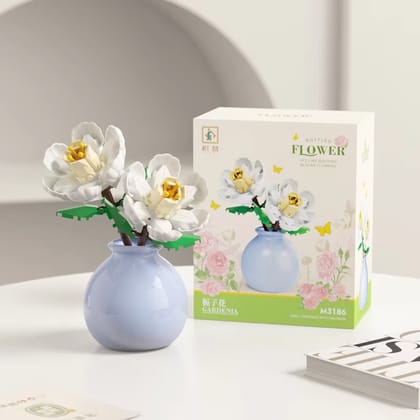 Gardenia -Potted Plants