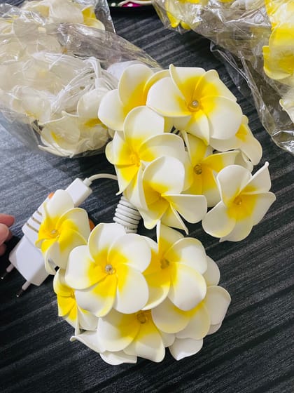 কাঠগোলাপ লাইট