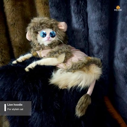 Cat lion hoodie 5 kg