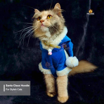 Cat chanta hoodie (custome)