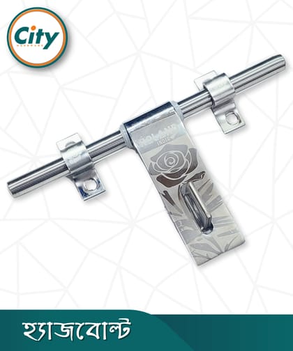 স্টেইনলেস স্টিলের হ্যাজবোল্ট লেজার প্রিন্টেড অ্যালড্রপ ১০ ইঞ্চি ৪মিমি এস এস হ্যাজবোল্ট