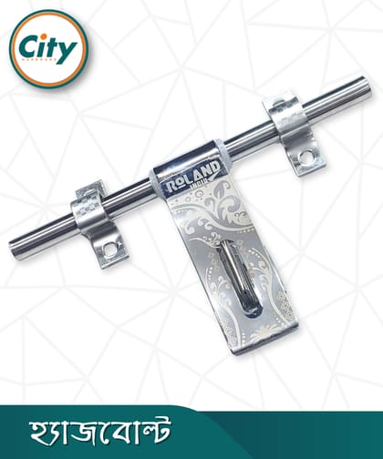 স্টেইনলেস স্টিলের হ্যাজবোল্ট লেজার প্রিন্টেড অ্যালড্রপ ১০ ইঞ্চি ৪মিমি এস এস হ্যাজবোল্ট