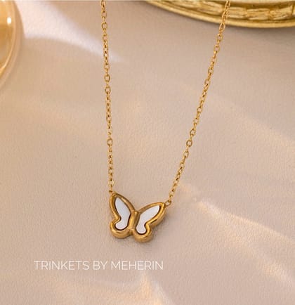 White shell butterfly