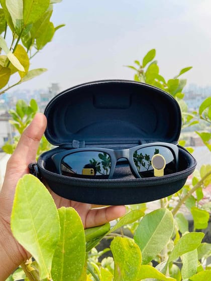 118_Rayban Premium Wayfarer Sunglass