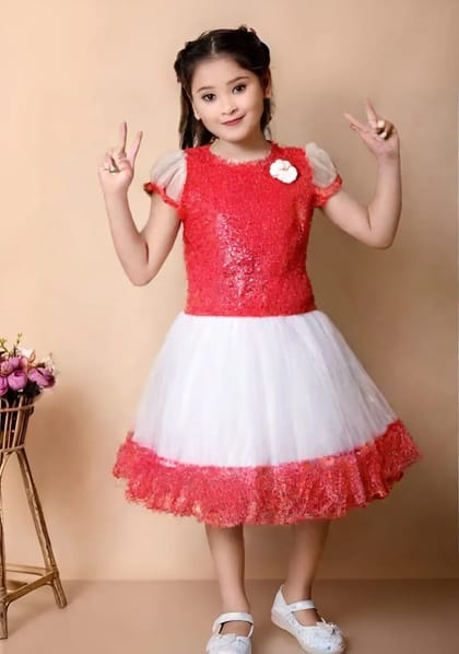 Party Dress. পার্টি ড্রেস।