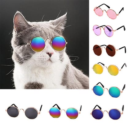 Cat Sunglass Toy - Multicolour