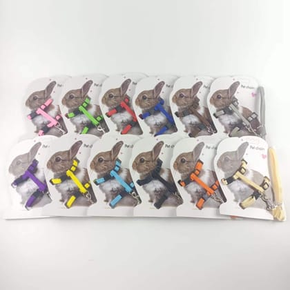 Rabbit Harness and Leash Adjustable Nylon ~ Kitten adult Belt Collar with lead