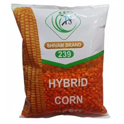 হাইব্রিড ভুট্টার বীজ শিবম  ২৪৯ । Hybrid corn seed Shivam 239