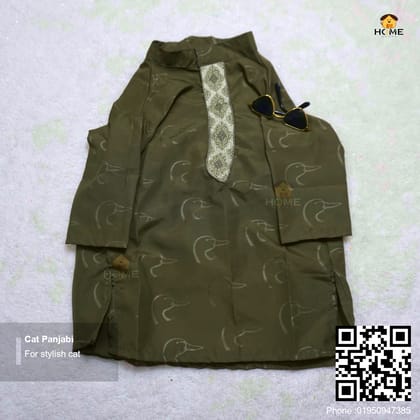 cat panjabi (8,7 kg)