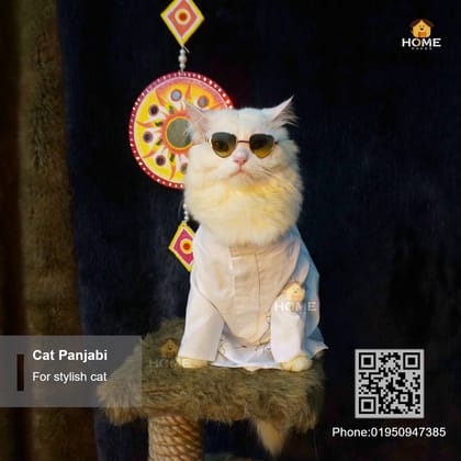 Cat panjabi (6,5,3.5,3 kg)