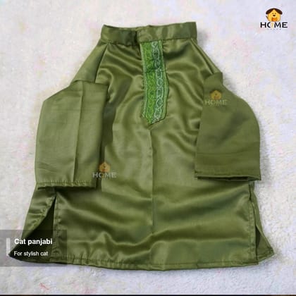 cat panjabi (5,6 kg)