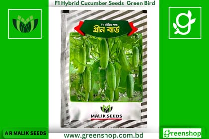 হাইব্রিড শসা বীজ গ্রীন বার্ড। F1 Hybrid Cucumber Seeds Green Bird