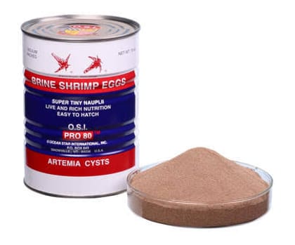 Red Jungle Brine Shrimp Eggs - 20gm
