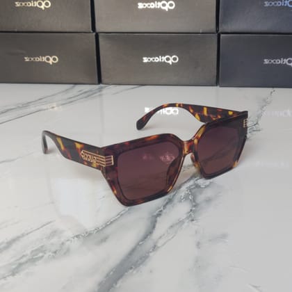 Premium Brand Sunglasses