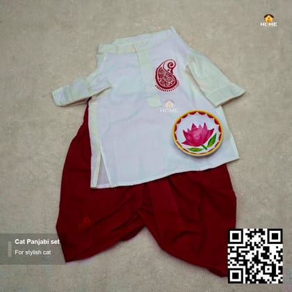 Cat panjabi set