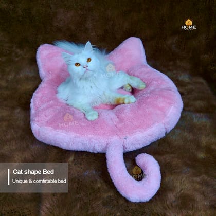 Cat bed