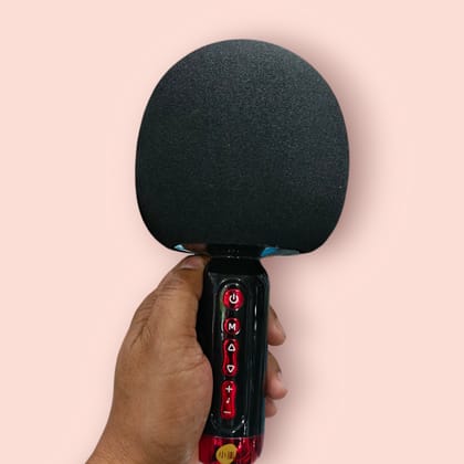 C 300- Karaoke microphone