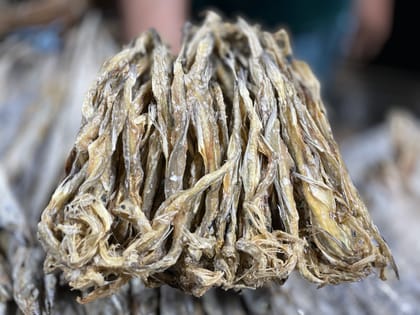 সামুদ্রিক লইট্যা শুঁটকি (Loitta)