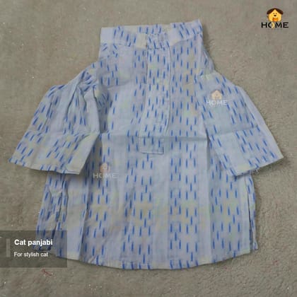 cat panjabi ( 3.5,4 kg)