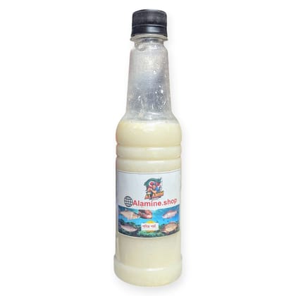 পনির পঁচা- Ponir Poca