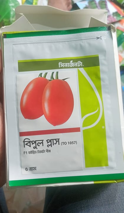F1 হাইব্রিড টমেটো বীজ বিপুল প্লাজা ( To 1057 ) । F1 Hybrid Tomato Seeds Bipul Plus (To 1057).