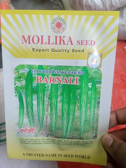 হাইব্রিড চিচিঙ্গার বীজ বর্ণালী  ।  F1 Hybrid Snake gourd seed Barnali
